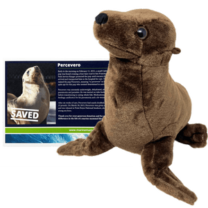 Large dark brown sea lion plush in front of a certificate reading "Saved" and name "Percevero".