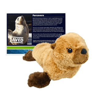 Sea lion plush in front of a certificate reading "Saved" and name "Percevero".