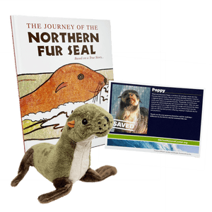 Plush fur seal with dark and medium brown fur propped in front of a blue, white, and green certificate depicting a Northern fur seal with the word "Saved" named "Poppy".  Both the plush and certificate are in front of a white a brown book titled "The Journey of the Northern Fur Seal" with an illustrated fur seal on the cover.