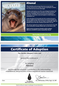 Sample adoption certificate with Hawaiian monk seal Ahonui's story on first page, blank certificate of adoption on second page that reads "Certificate of Adoption: The Marine Mammal Center and [blank] present this certificate to [blank] for adopting Ahonui and through this adoption, contributing to the understanding, rehabilitation, and protection of these magnificent marine mammals."