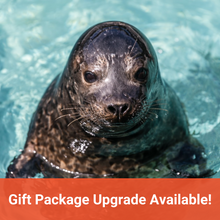 Load image into Gallery viewer, Adopt-a-Seal® - Aquapup

