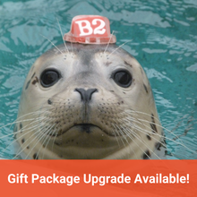 Load image into Gallery viewer, Closeup of harbor seal pup in water. Text in orange banner reads &quot;Gift Package Upgrade Available!&quot;
