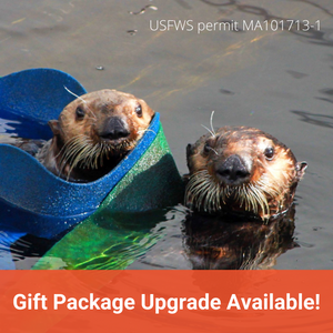 Two sea otters swimming pool. Top text reads "USFWS permit MA101713-1" Text in orange banner reads "Gift Package Upgrade Available!"