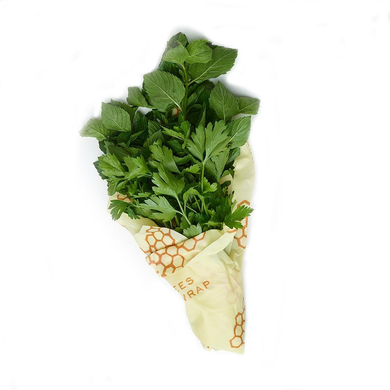 Honeycomb-patterned beeswax wrap wrapped around bundle of green parsley and mint.