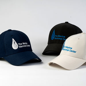Logo Baseball Hat - FlexFit