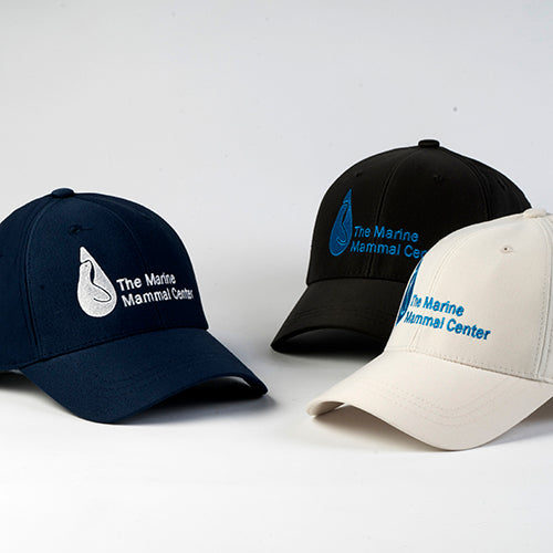 Logo Baseball Hat - FlexFit