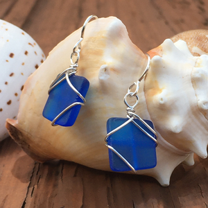 Cobalt blue metal-wrapped seaglass earrings hanging from conch shell