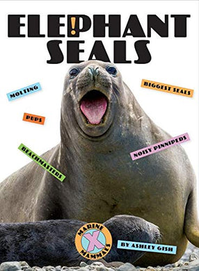 White book cover with photo of elephant seal mom and pup. 