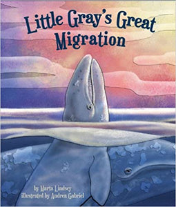 "Little Gray's Great Migration" book cover with author and illustrator, and illustrations depicting two whales swimming around sunset, with one breaching it's head straight out.