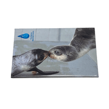 Load image into Gallery viewer, Magnet with photo image of fur seals touching noses and TMMC logo in upper lefthand corner.
