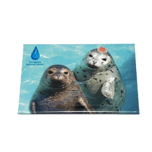 Load image into Gallery viewer, Magnet with photo image of harbor seals poking heads out of the water and TMMC logo in upper lefthand corner.
