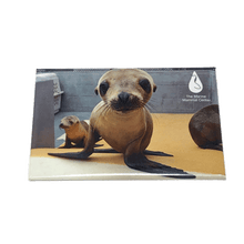 Load image into Gallery viewer, Magnet with photo image of sea lions and TMMC logo in upper righthand corner.
