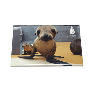 Magnet with photo image of sea lions and TMMC logo in upper righthand corner.