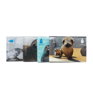 4 TMMC logoed magnets lined up with photo images of various species of marine mammals