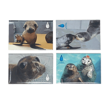 Load image into Gallery viewer, 4 TMMC logoed magnets with photo images of various species of marine mammals 
