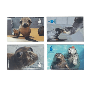 4 TMMC logoed magnets with photo images of various species of marine mammals 