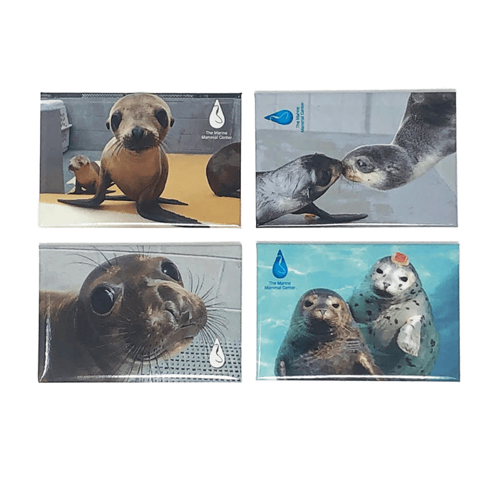 4 TMMC logoed magnets with photo images of various species of marine mammals 