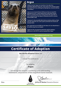 Sample certificate of adoption with patient's photo and story in top half, certificate of adoption in bottom half. 