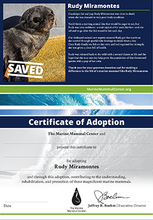 Load image into Gallery viewer, Sample certificate of adoption with patient&#39;s photo and story in top half, certificate of adoption in bottom half. 
