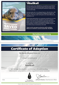 Sample certificate of adoption with patient's photo and story in top half, certificate of adoption in bottom half. 