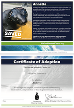 Load image into Gallery viewer, Sample certificate of adoption with patient&#39;s photo and story in top half, certificate of adoption in bottom half. 
