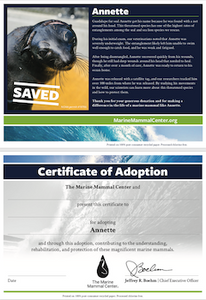 Sample certificate of adoption with patient's photo and story in top half, certificate of adoption in bottom half. 