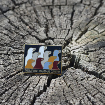 Decade pin sits on top of a tree stump.