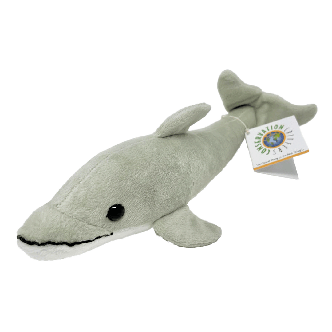 Dolphin Collection – The Marine Mammal Center Gift Store