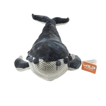 Load image into Gallery viewer, A front view of a plush whale with a dark grey top, light grey, ribbed underside, and orange &quot;Wild Republic&quot; tag.
