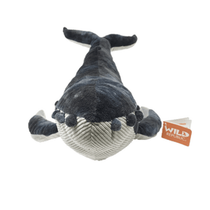 A front view of a plush whale with a dark grey top, light grey, ribbed underside, and orange "Wild Republic" tag.