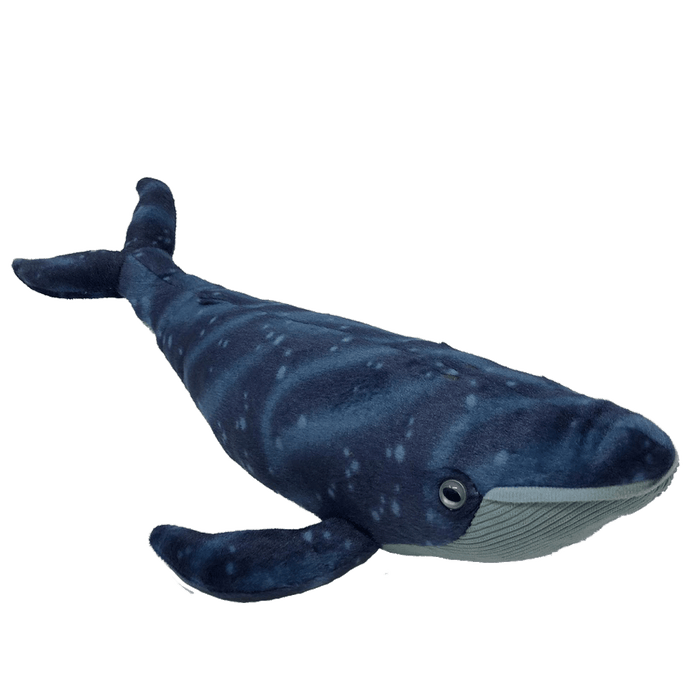 An angled view of a whale plush with dark blue, speckled back and light blue, ribbed underside.