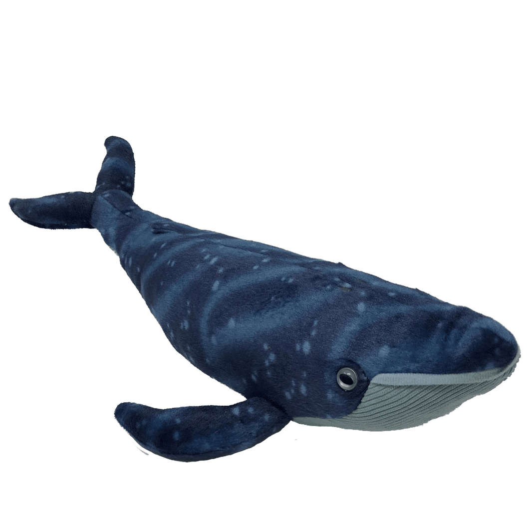 An angled view of a whale plush with dark blue, speckled back and light blue, ribbed underside.