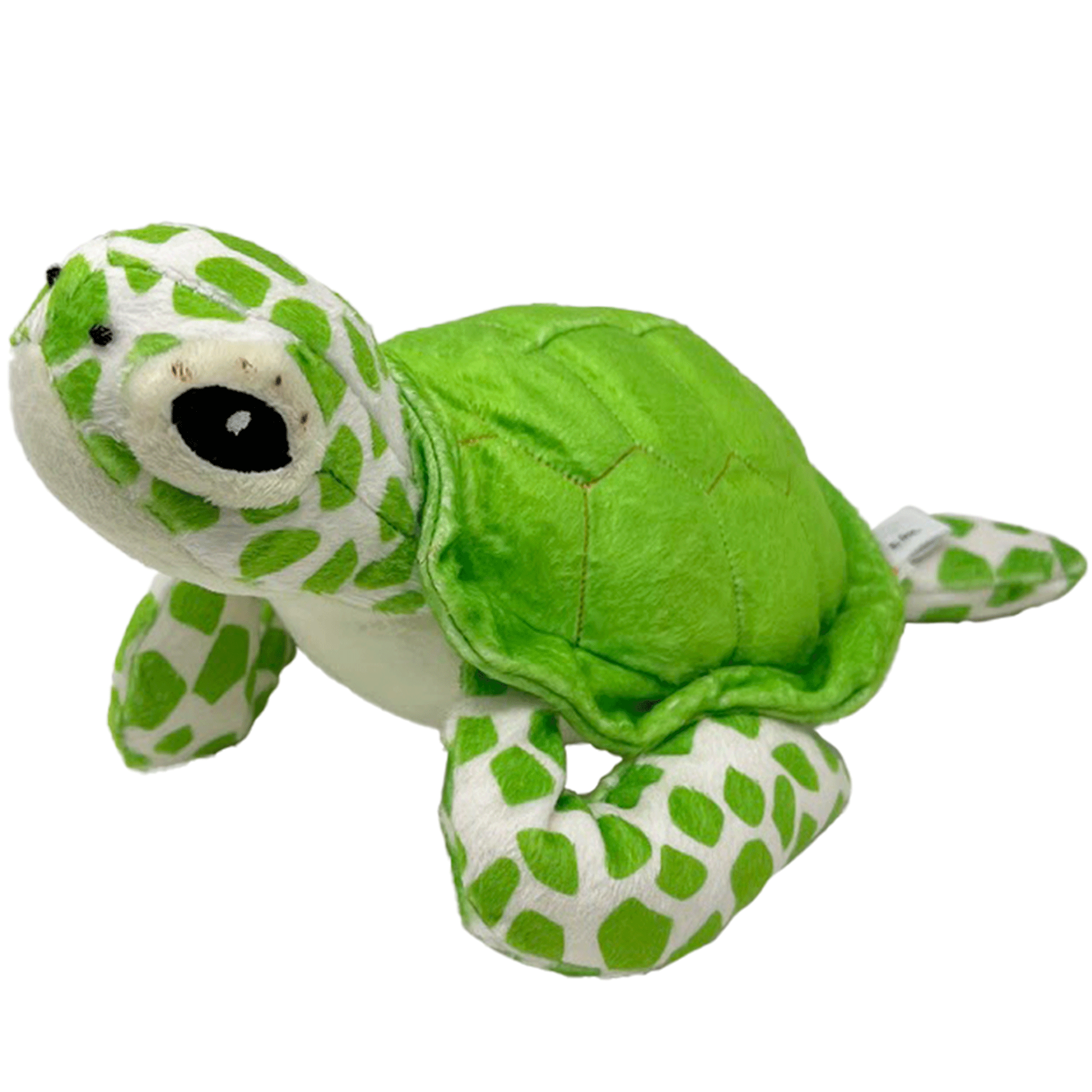 Plush turtle deals