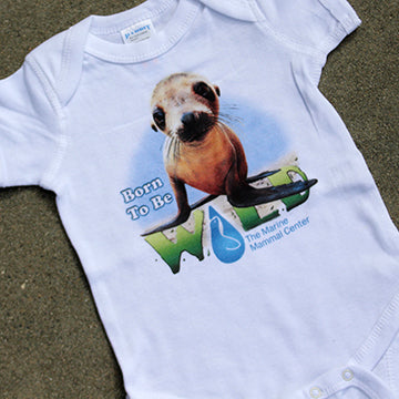 Closeup of a Sea lion's face on a white infant onesie, where 