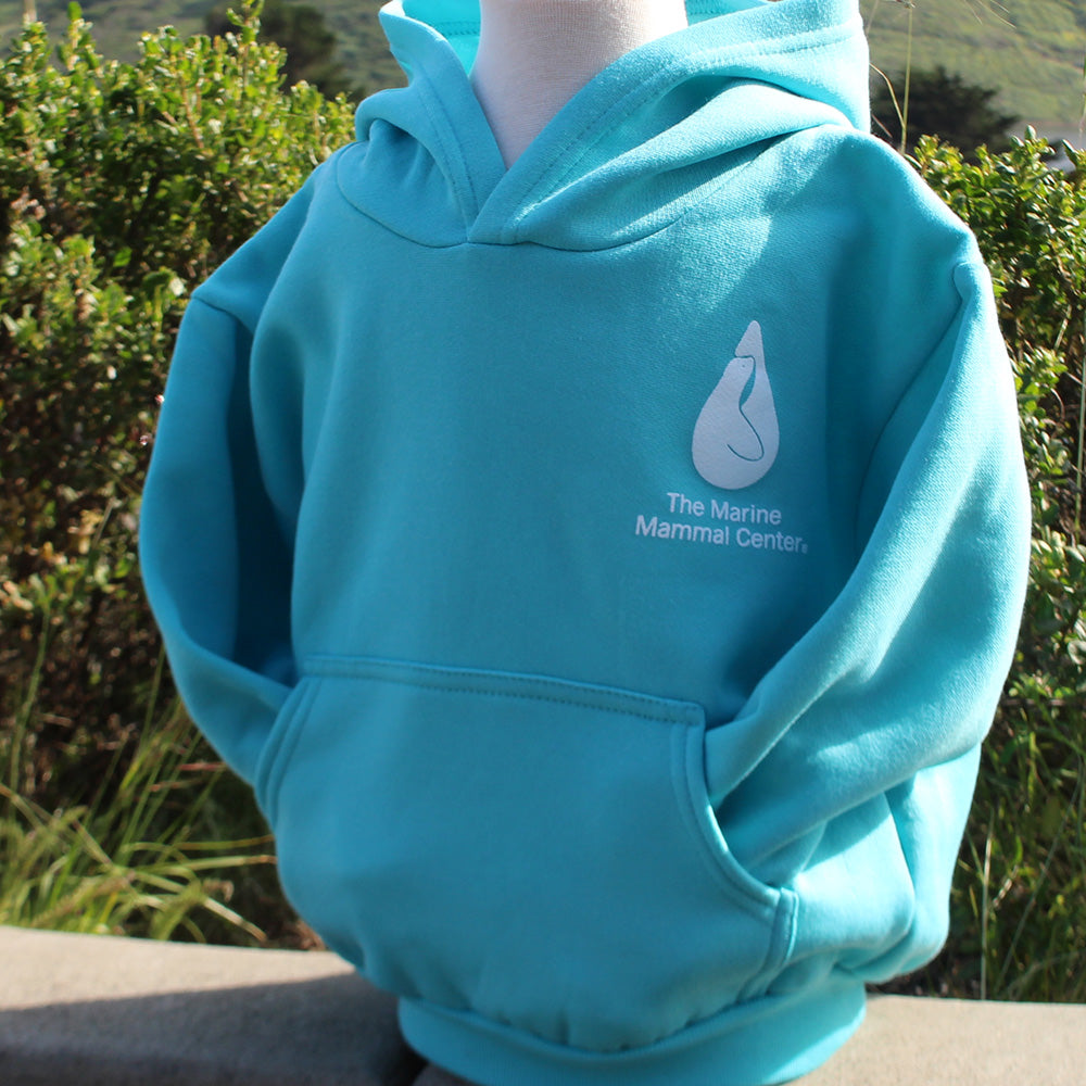 Turquoise youth hoodie with white TMMC logo on the left side of the chest. Hoodie is on a child mannequin situated in front of a coastal background.