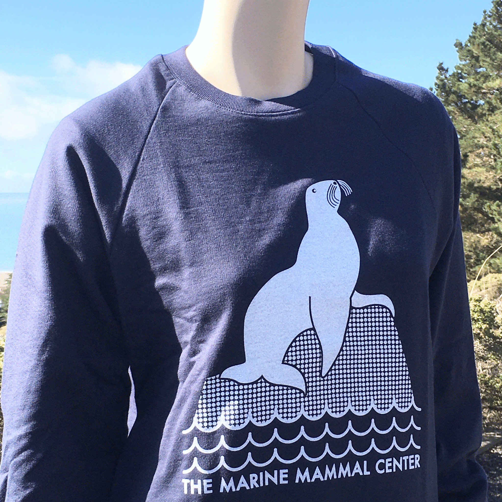 Organic Cotton Sea Lion Sweatshirt – The Marine Mammal Center Gift