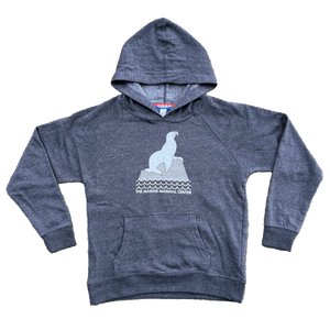 Youth hooded sweatshirt in dark grey with an image of a sea lion on a rock and the words "The Marine Mammal Center" in white.