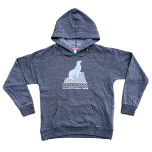 Youth hooded sweatshirt in dark grey with an image of a sea lion on a rock and the words "The Marine Mammal Center" in white.