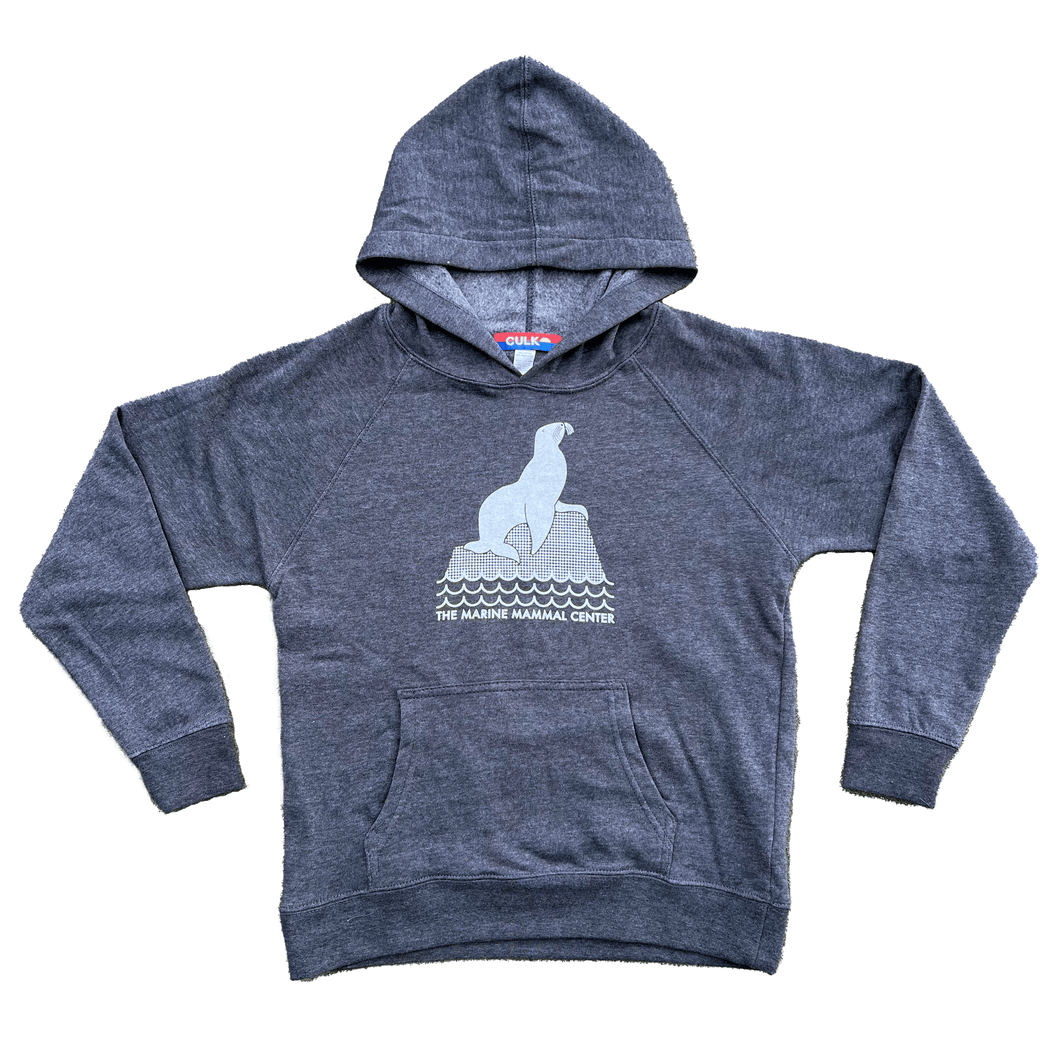 Youth hooded sweatshirt in dark grey with an image of a sea lion on a rock and the words 