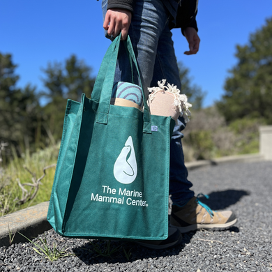 Two beach towels in a green tote bag with The Marine Mammal Center's logo in white on the front, held by a person wearing jeans and hiking shoes. 