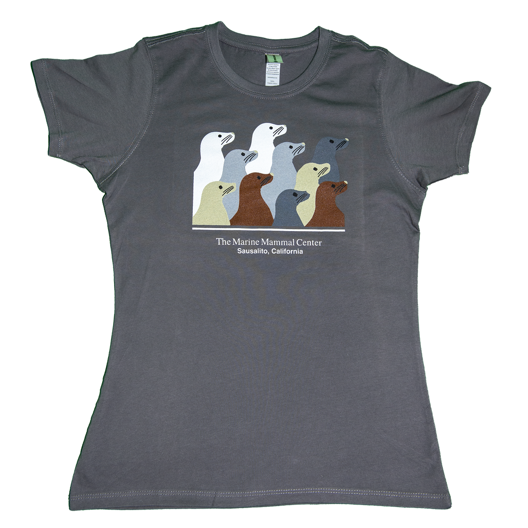 Gray t-shirt with design of ten sea lion profiles in brown, gray, tan, and white, and text 