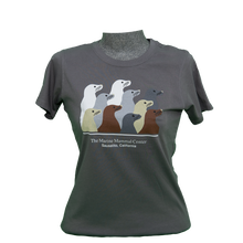 Load image into Gallery viewer, Gray t-shirt with ten sea lions design, on fitted-cut mannequin bust
