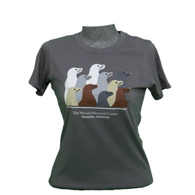 Gray t-shirt with ten sea lions design, on fitted-cut mannequin bust